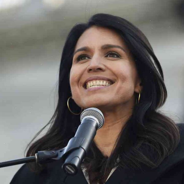 Tulsi Gabbard says former city councilman accused of voter fraud was unjustly prosecuted